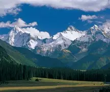 关于新疆广汇训练开放日，清晨内部沟通引欢呼，CBA季后赛在即，纪律约束更严格的信息